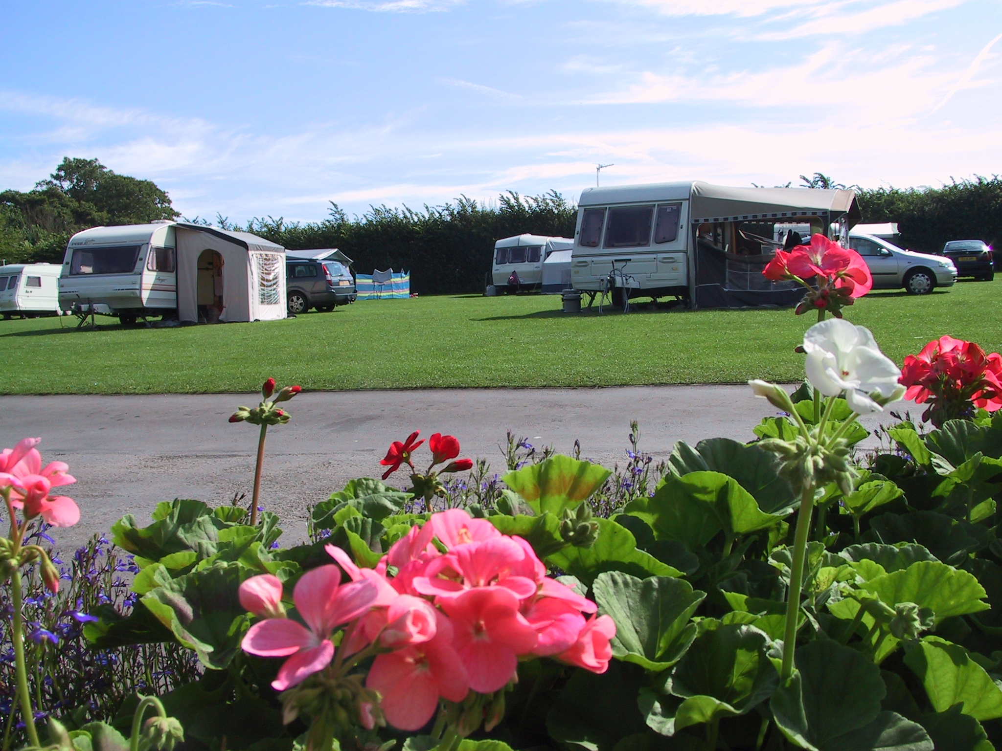 Contact Us Seadown Holiday Park contact-us-seadown-holiday-park